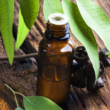 Top essential oil manufacturers Noida