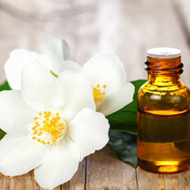 Organic Mahanarayan Oil in Noida