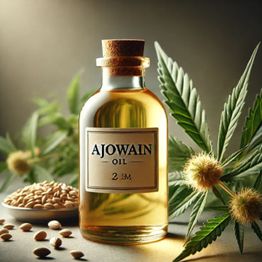 Ajwain oil manufacturer company in noida
